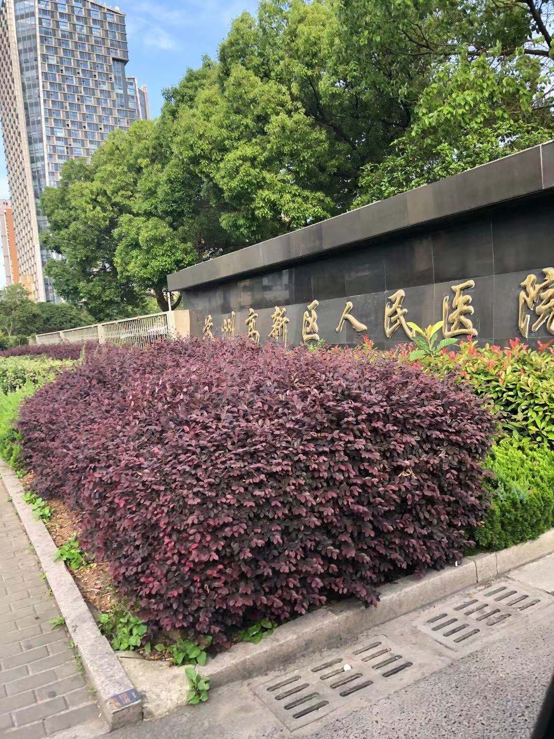 苏州高新区人民医院